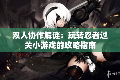 双人协作解谜：玩转忍者过关小游戏的攻略指南