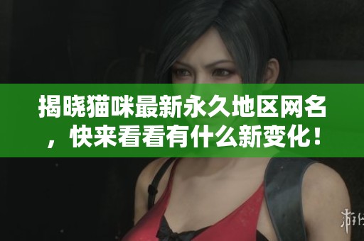 揭晓猫咪最新永久地区网名，快来看看有什么新变化！