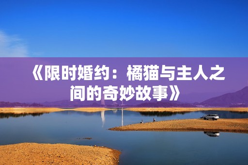 《限时婚约：橘猫与主人之间的奇妙故事》