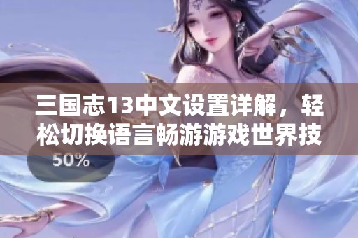 三国志13中文设置详解，轻松切换语言畅游游戏世界技巧分享