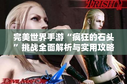 完美世界手游“疯狂的石头”挑战全面解析与实用攻略分享