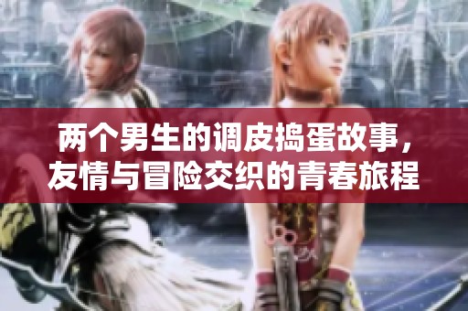 两个男生的调皮捣蛋故事，友情与冒险交织的青春旅程