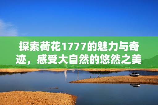 探索荷花1777的魅力与奇迹，感受大自然的悠然之美