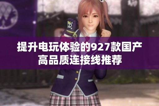 提升电玩体验的927款国产高品质连接线推荐
