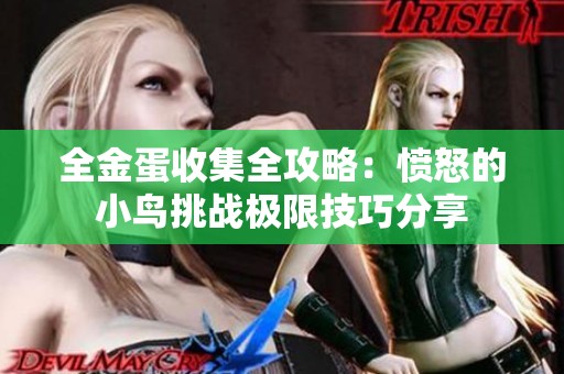 全金蛋收集全攻略：愤怒的小鸟挑战极限技巧分享