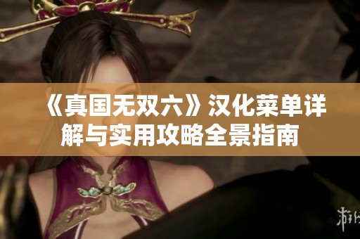 《真国无双六》汉化菜单详解与实用攻略全景指南