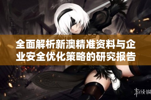 全面解析新澳精准资料与企业安全优化策略的研究报告