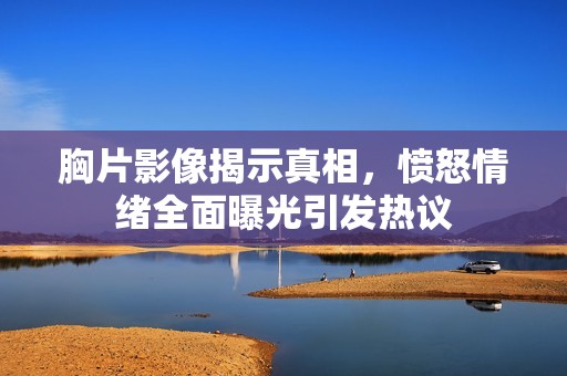 胸片影像揭示真相，愤怒情绪全面曝光引发热议