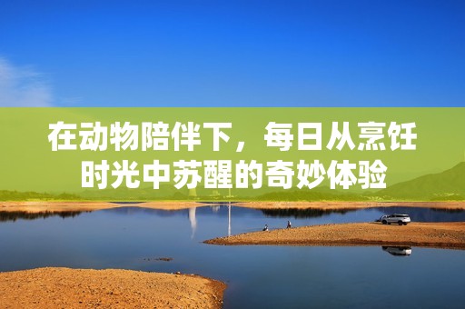 在动物陪伴下，每日从烹饪时光中苏醒的奇妙体验