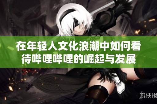 在年轻人文化浪潮中如何看待哔哩哔哩的崛起与发展