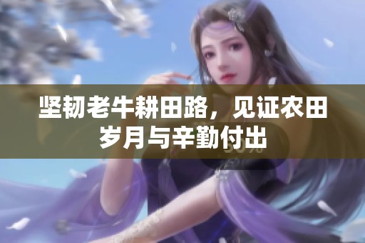 坚韧老牛耕田路，见证农田岁月与辛勤付出