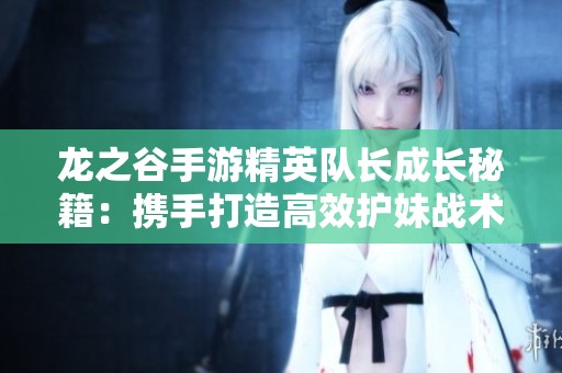 龙之谷手游精英队长成长秘籍：携手打造高效护妹战术攻略