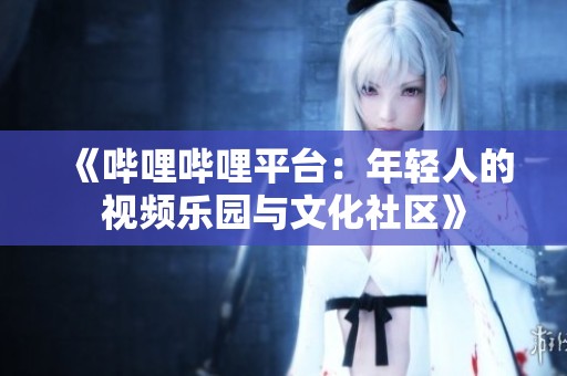 《哔哩哔哩平台：年轻人的视频乐园与文化社区》
