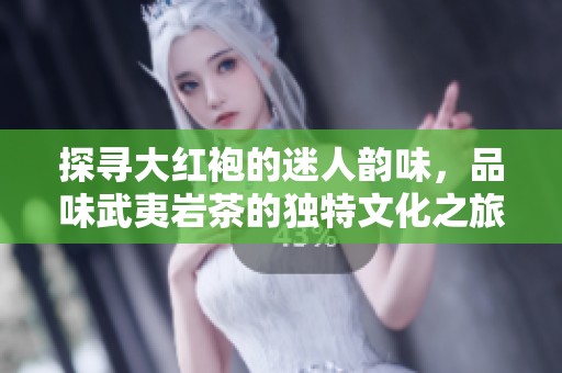 探寻大红袍的迷人韵味，品味武夷岩茶的独特文化之旅