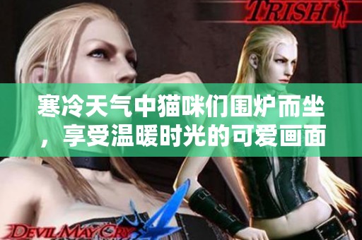 寒冷天气中猫咪们围炉而坐，享受温暖时光的可爱画面