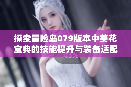 探索冒险岛079版本中葵花宝典的技能提升与装备适配的重要性分析