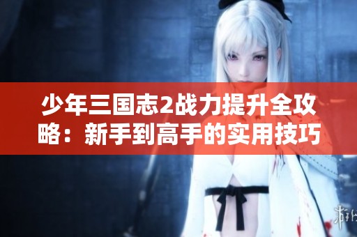 少年三国志2战力提升全攻略：新手到高手的实用技巧解析