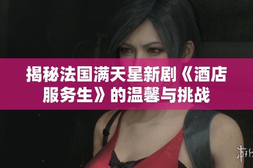 揭秘法国满天星新剧《酒店服务生》的温馨与挑战