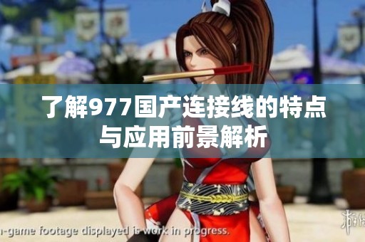 了解977国产连接线的特点与应用前景解析