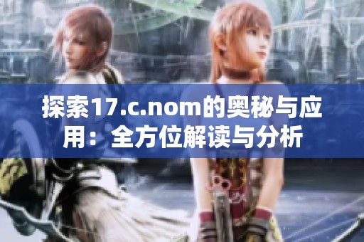 探索17.c.nom的奥秘与应用：全方位解读与分析