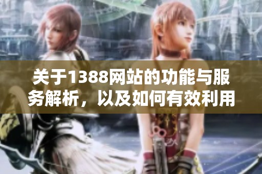 关于1388网站的功能与服务解析，以及如何有效利用该平台的信息资源