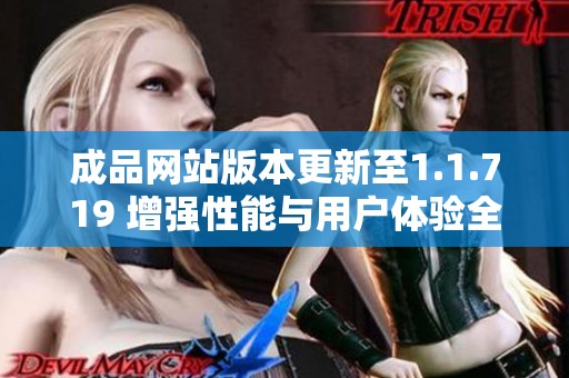 成品网站版本更新至1.1.719 增强性能与用户体验全面升级