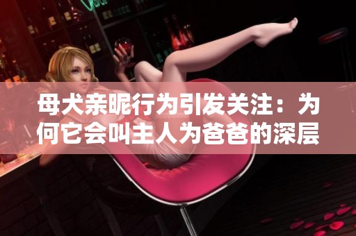 母犬亲昵行为引发关注：为何它会叫主人为爸爸的深层原因解析