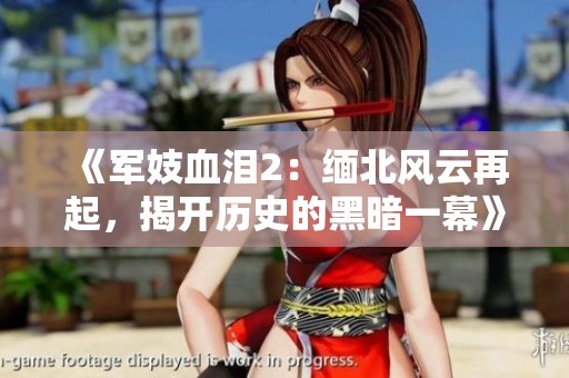 《军妓血泪2：缅北风云再起，揭开历史的黑暗一幕》