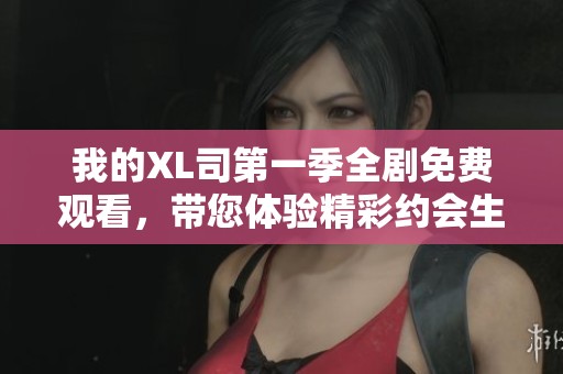 我的XL司第一季全剧免费观看，带您体验精彩约会生活与职场故事