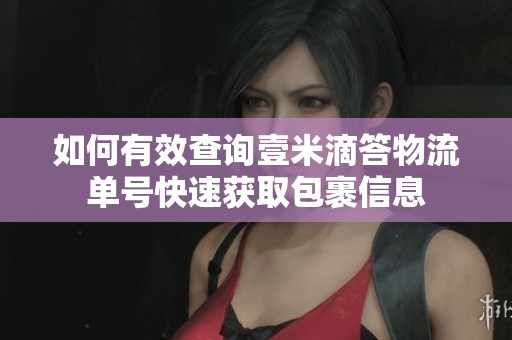 如何有效查询壹米滴答物流单号快速获取包裹信息