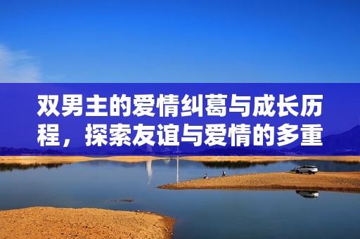 双男主的爱情纠葛与成长历程，探索友谊与爱情的多重交织故事