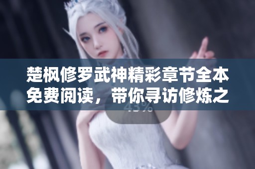楚枫修罗武神精彩章节全本免费阅读，带你寻访修炼之路的传奇冒险