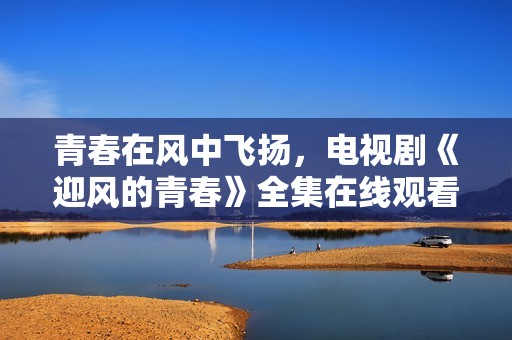 青春在风中飞扬，电视剧《迎风的青春》全集在线观看体验分享