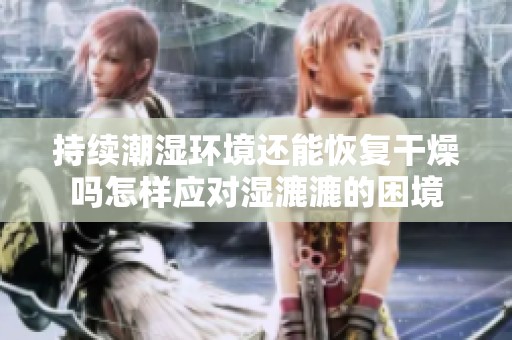 持续潮湿环境还能恢复干燥吗怎样应对湿漉漉的困境